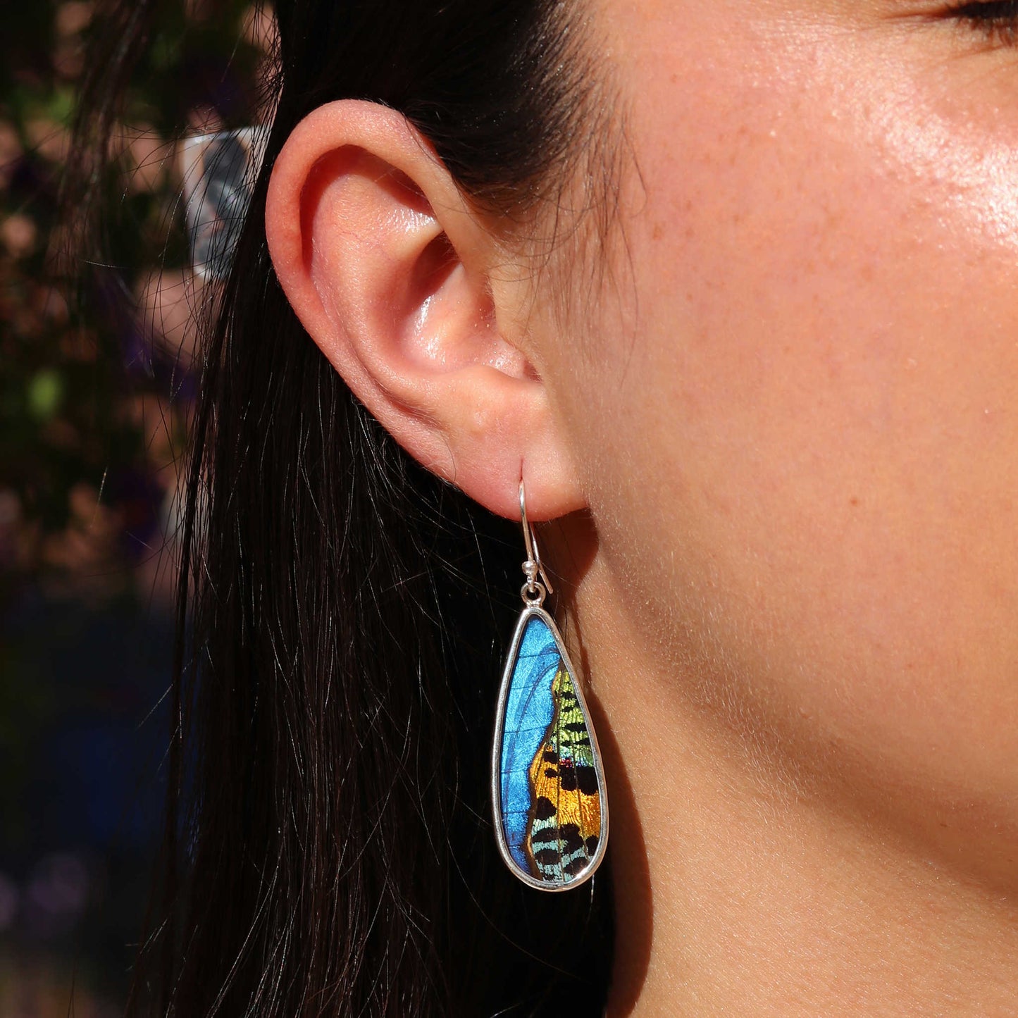 Morpho & Sunset Moth Butterfly Wing Long Drop Earrings