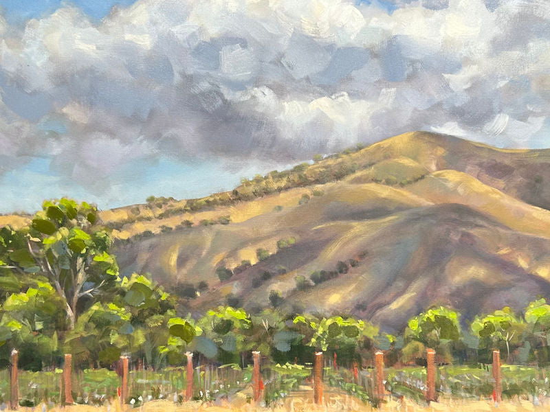 The Play of Light by Gina Niebergall