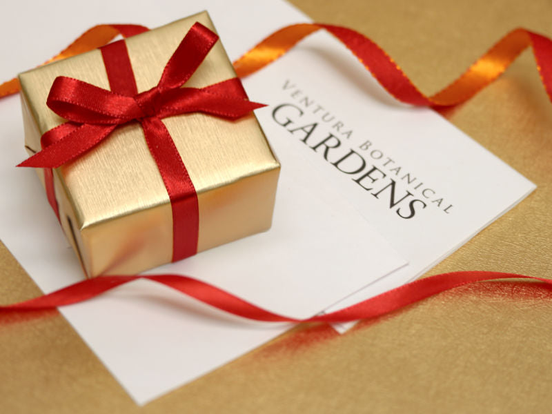 Gold gift box with red ribbon on a Ventura Botanical Gardens letter