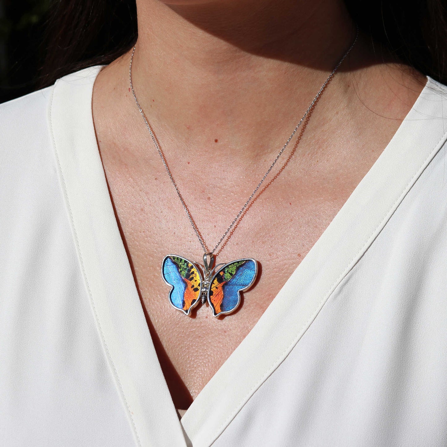 Medium Butterfly Wing Pendant | Morpho & Sunset Moth