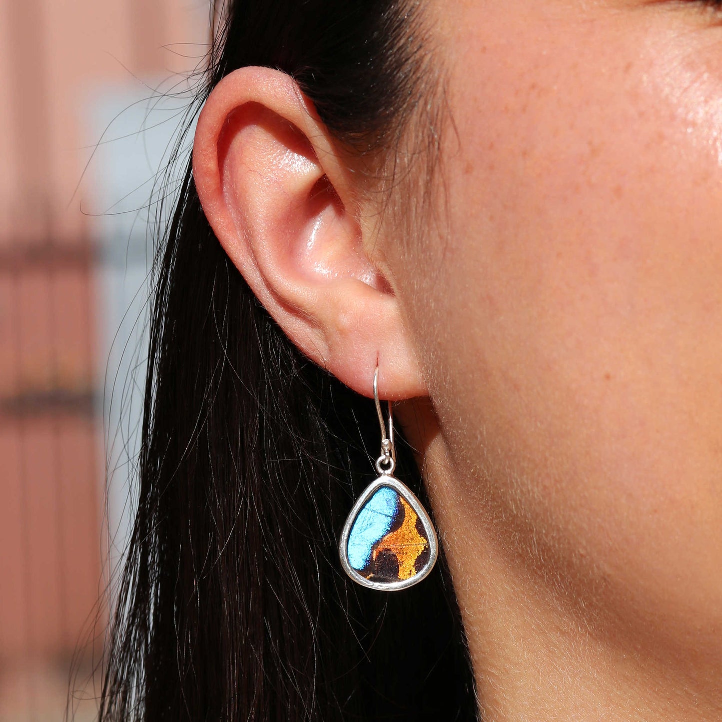 Small Morpho & Sunset Moth Round Drop Earrings