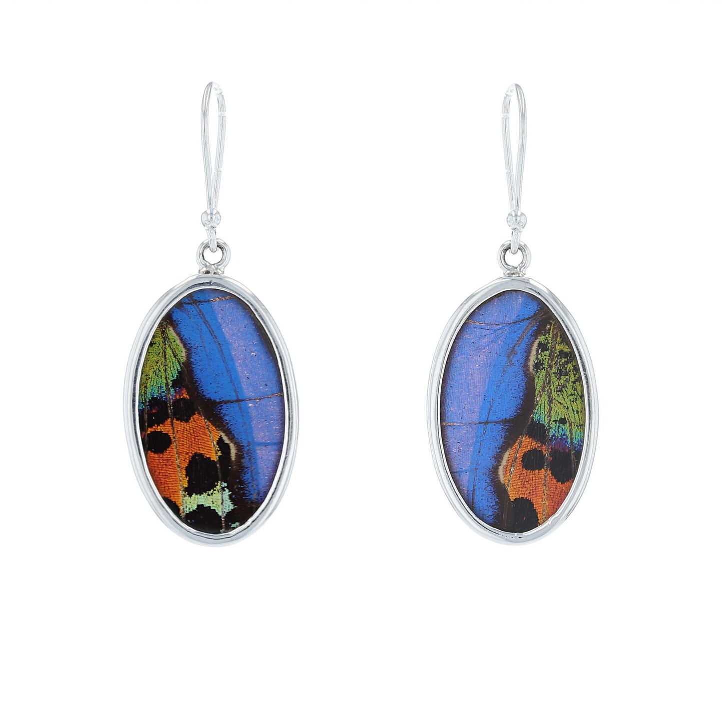Morpho & Sunset Moth Butterfly Wing Oval Earrings