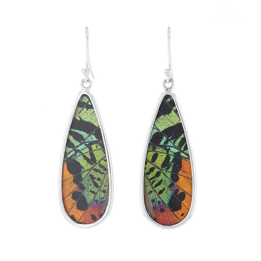 Sunset Moth Butterfly Wing Long Drop Earrings
