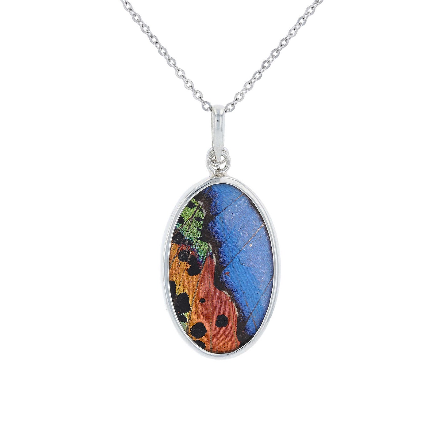 Morpho & Sunset Moth Butterfly Oval Earrings