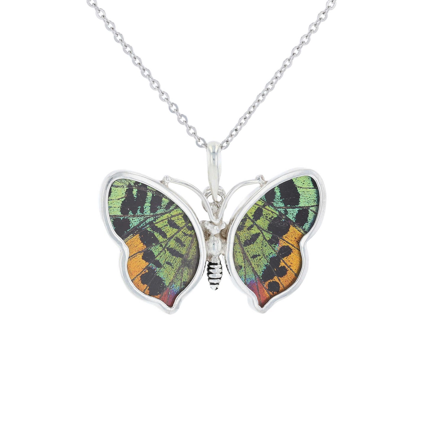Small Butterfly Wing Pendant | Sunset Moth