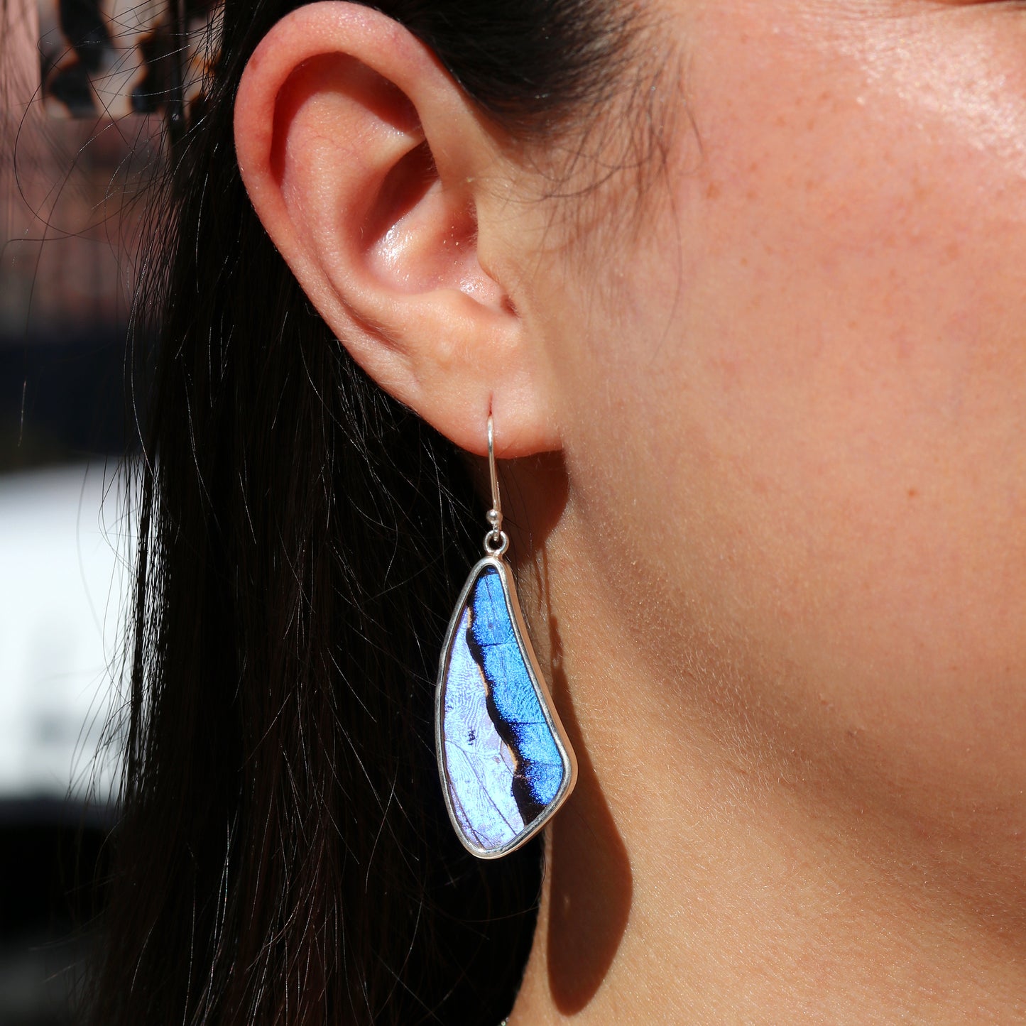 Blue Morpho Butterfly Wing Earrings | Sterling Silver