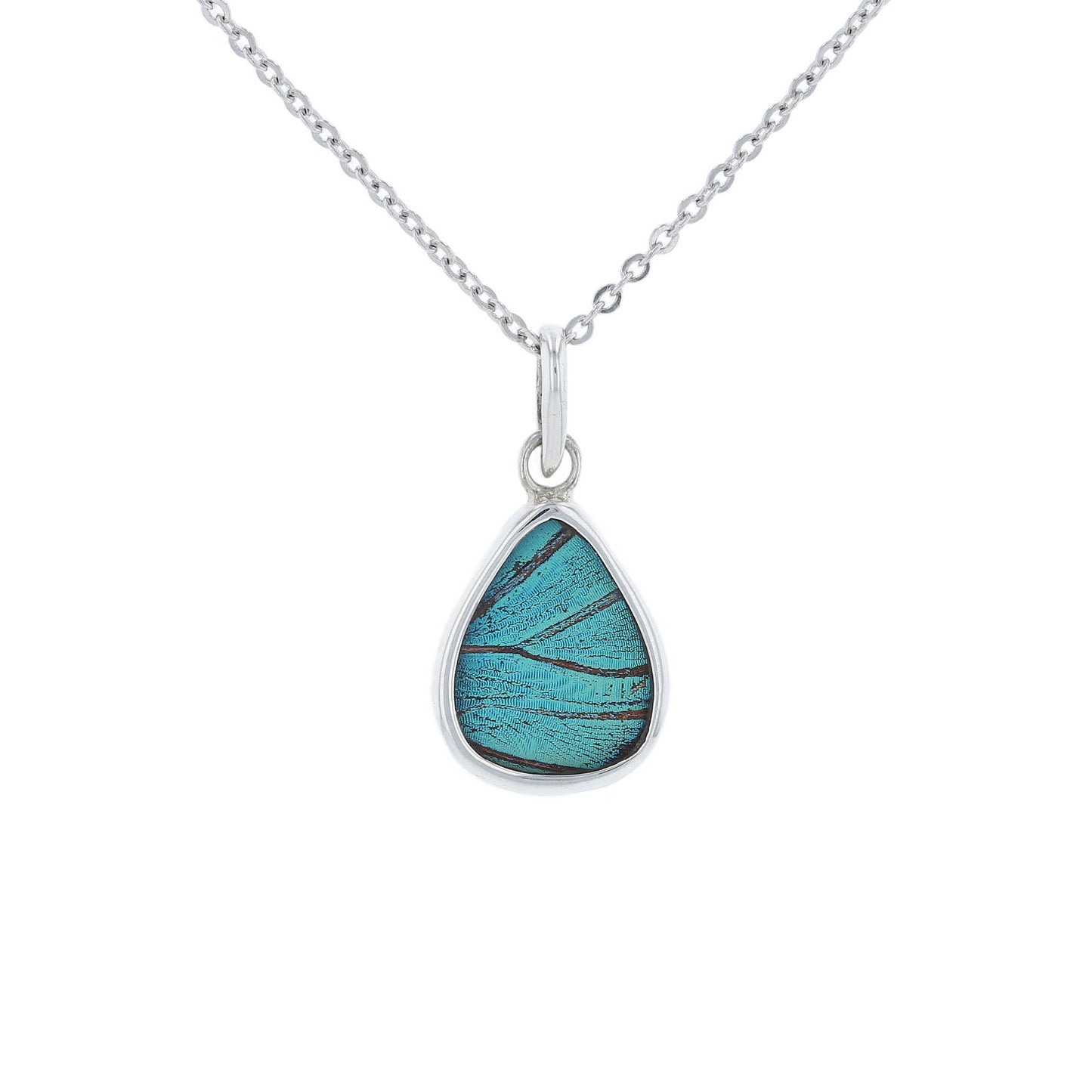 Prepona Butterfly Wing Round Drop Pendant
