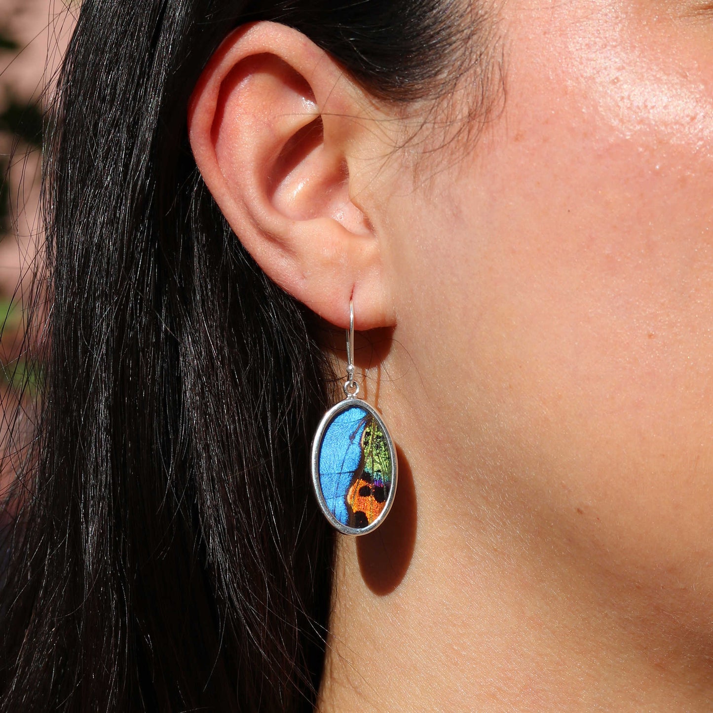 Morpho & Sunset Moth Butterfly Wing Oval Earrings