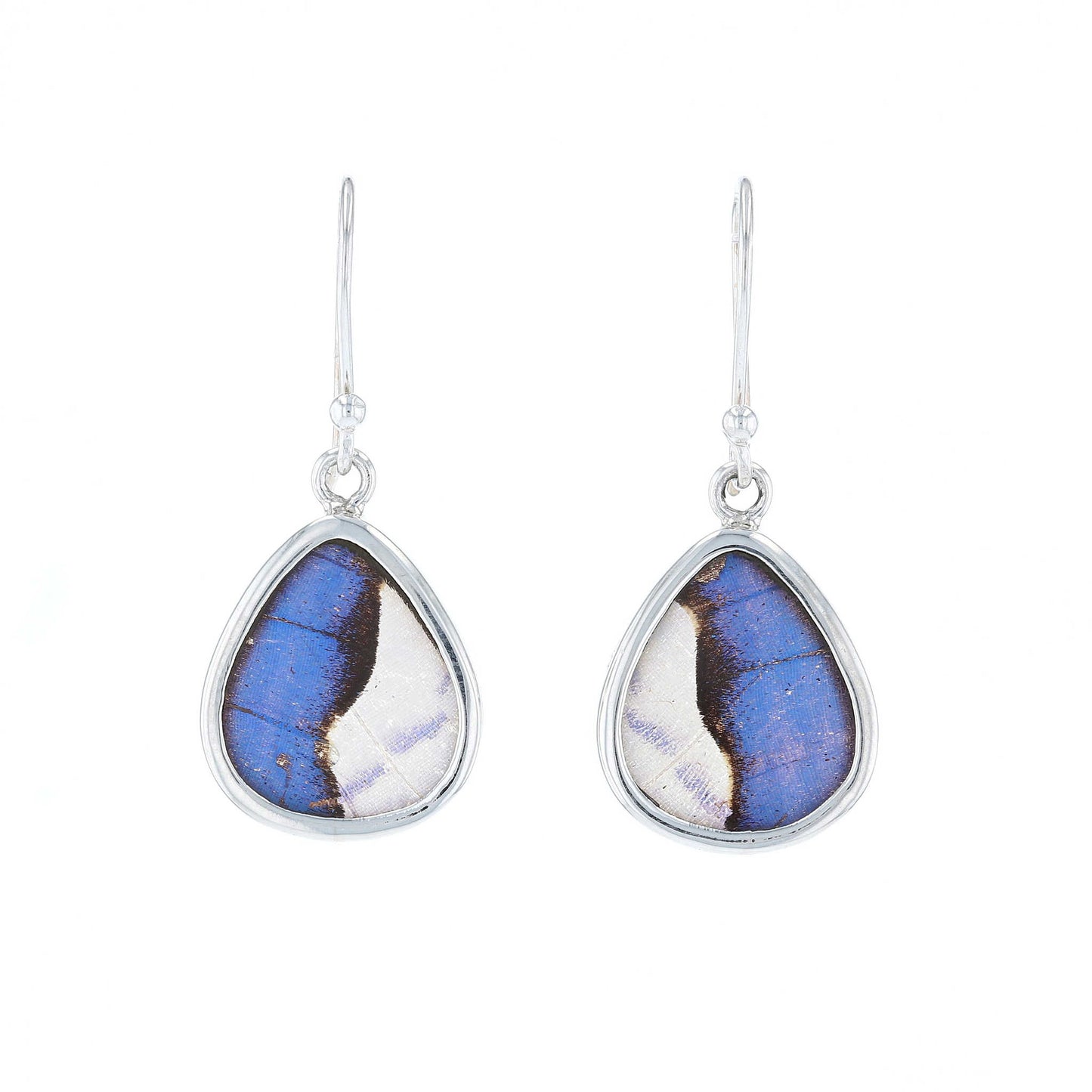 Blue Morpho Butterfly Wing Drop Earrings