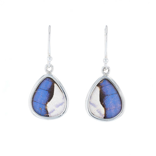 Blue Morpho Butterfly Wing Drop Earrings