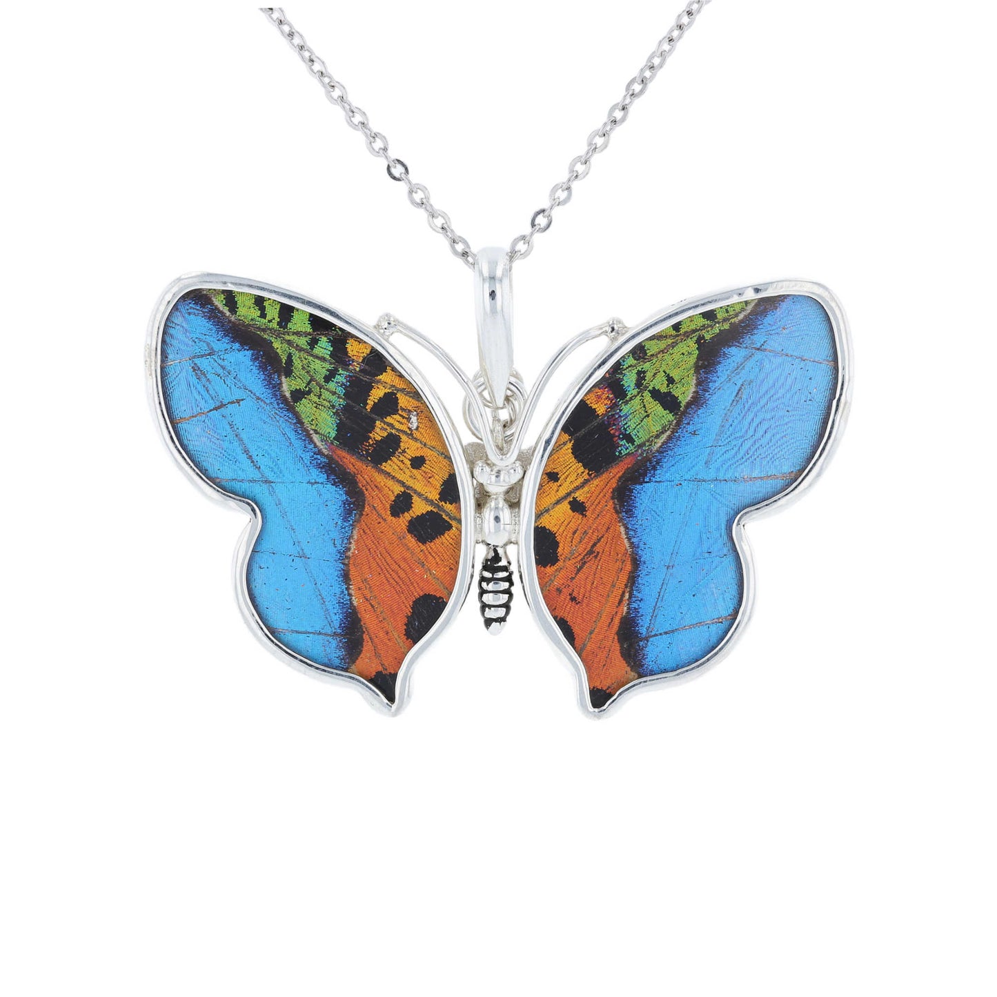 Medium Butterfly Wing Pendant | Morpho & Sunset Moth