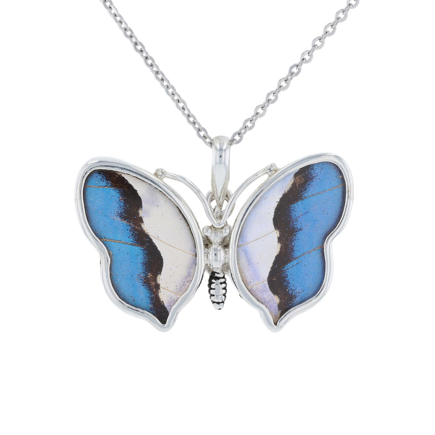 Blue Morpho Butterfly Wing Pendant | Sterling Silver