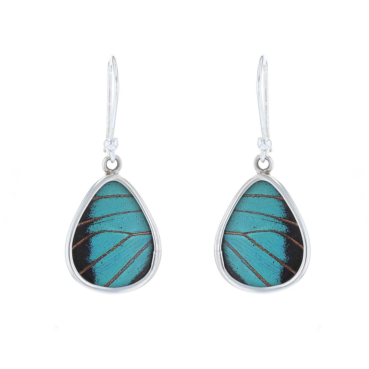 Prepona Butterfly Wing Round Drop Earrings