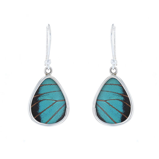 Prepona Butterfly Wing Round Drop Earrings