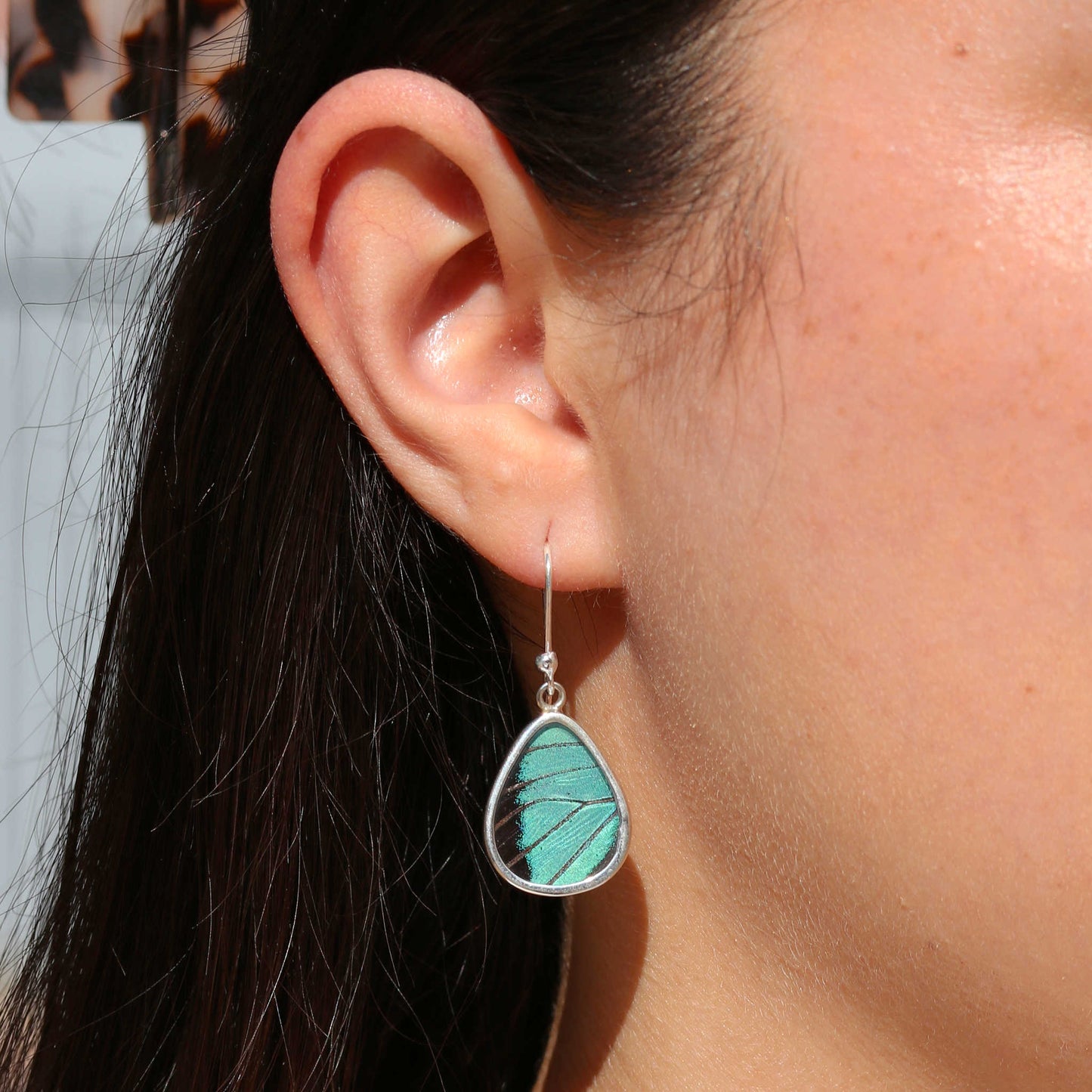 Prepona Butterfly Wing Round Drop Earrings