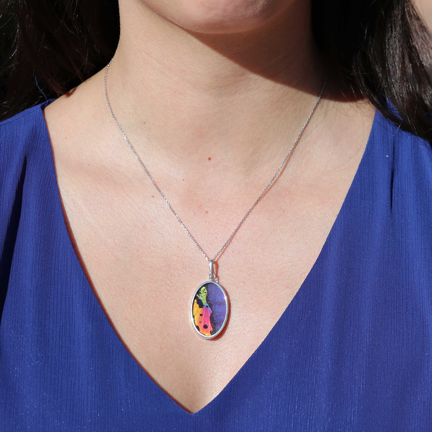 Morpho & Sunset Moth Butterfly Oval Earrings