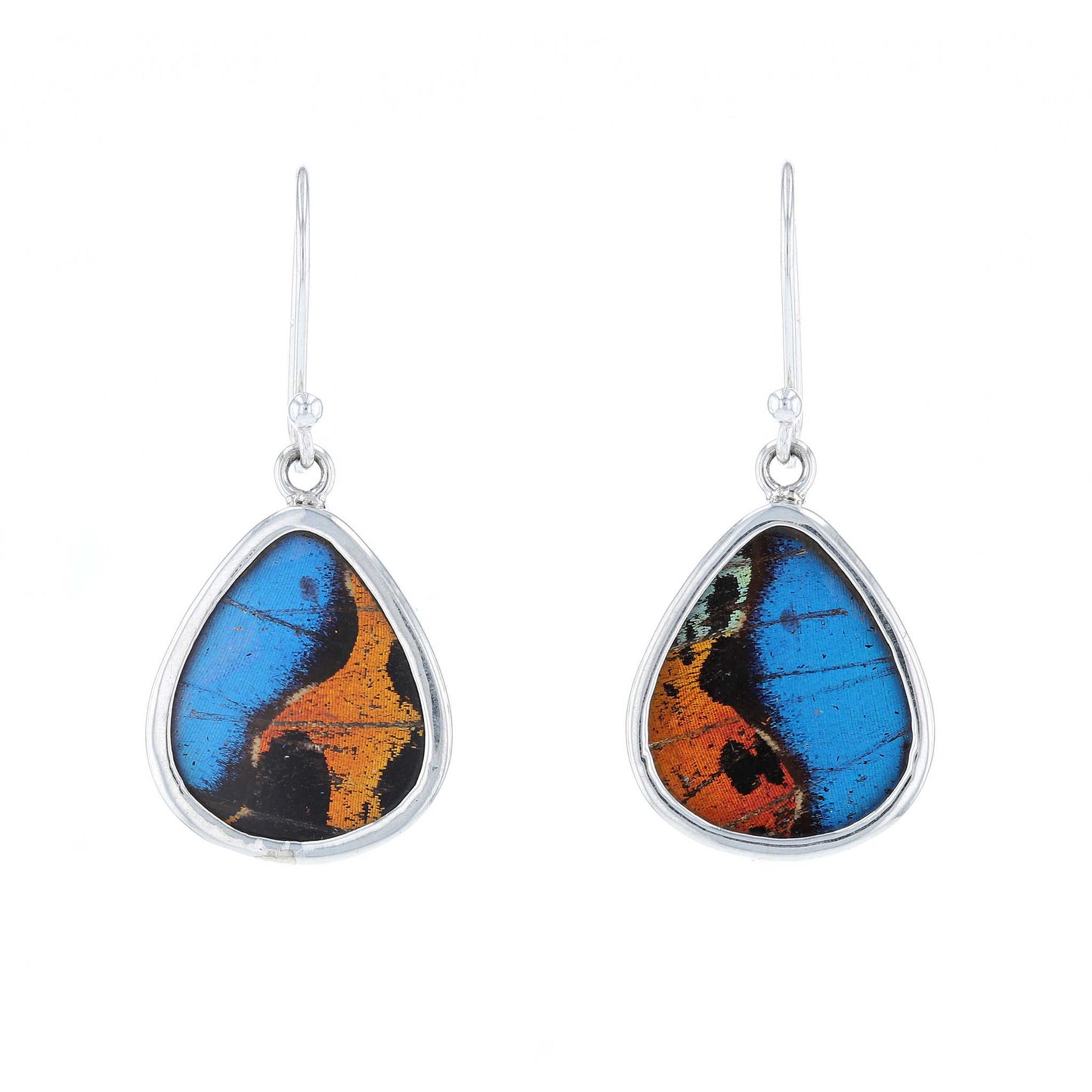 Small Morpho & Sunset Moth Round Drop Earrings