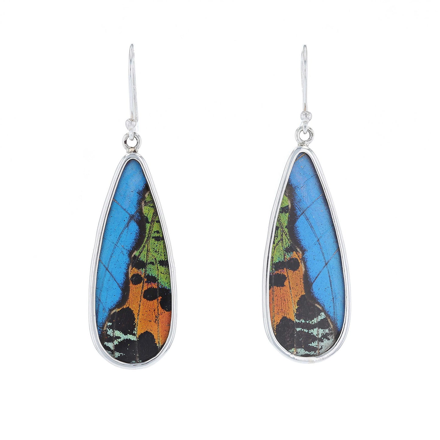 Morpho & Sunset Moth Butterfly Wing Long Drop Earrings