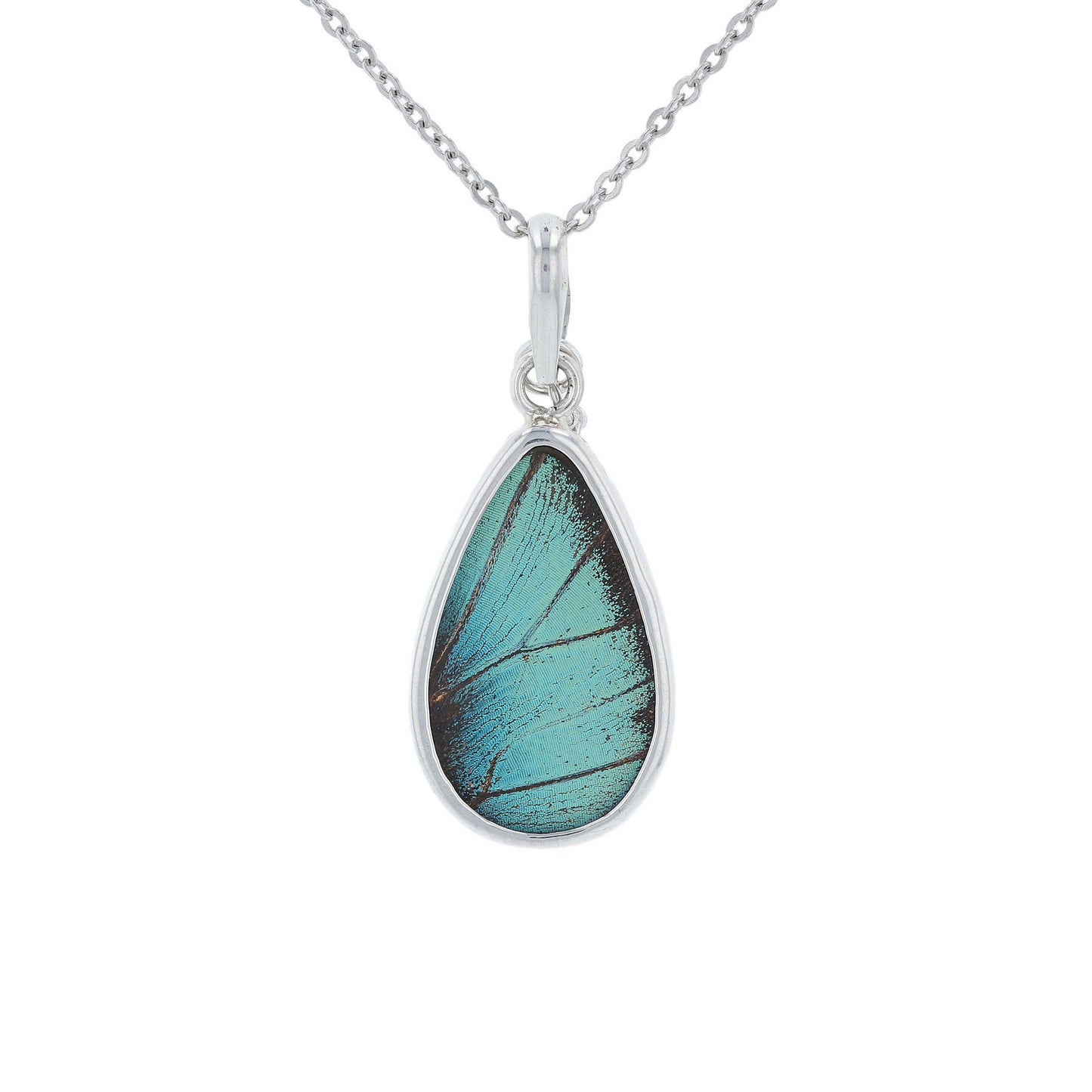 Prepona Butterfly Wing Pendant | Sterling Silver