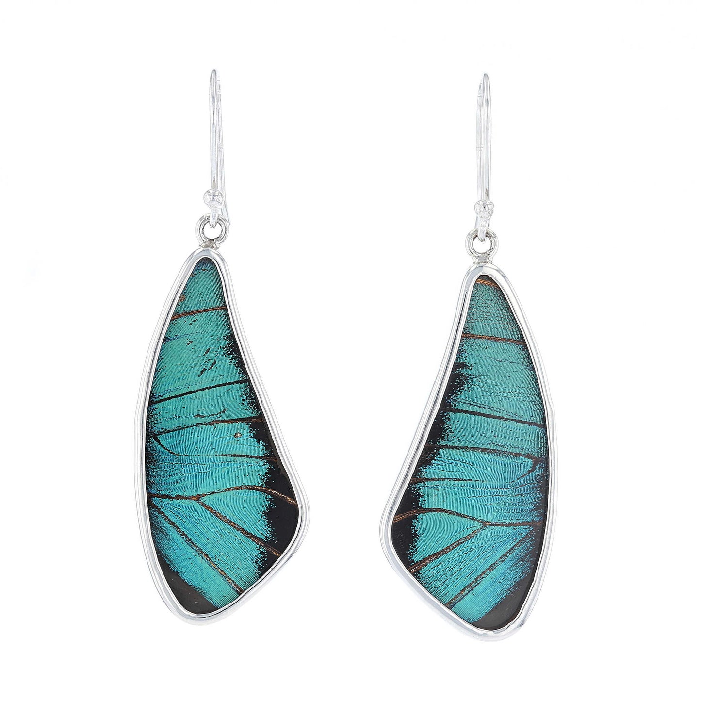 Prepona Wing Earrings | Sterling Silver