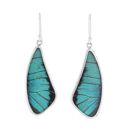 Prepona Wing Earrings | Sterling Silver
