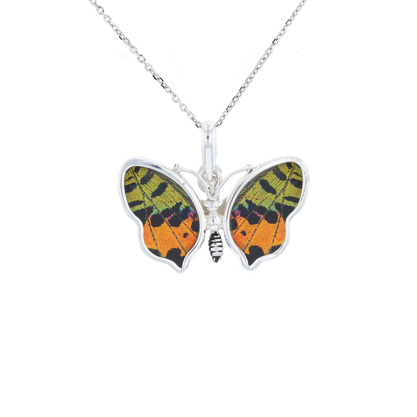 Petite Butterfly Wing Pendant | Sunset Moth
