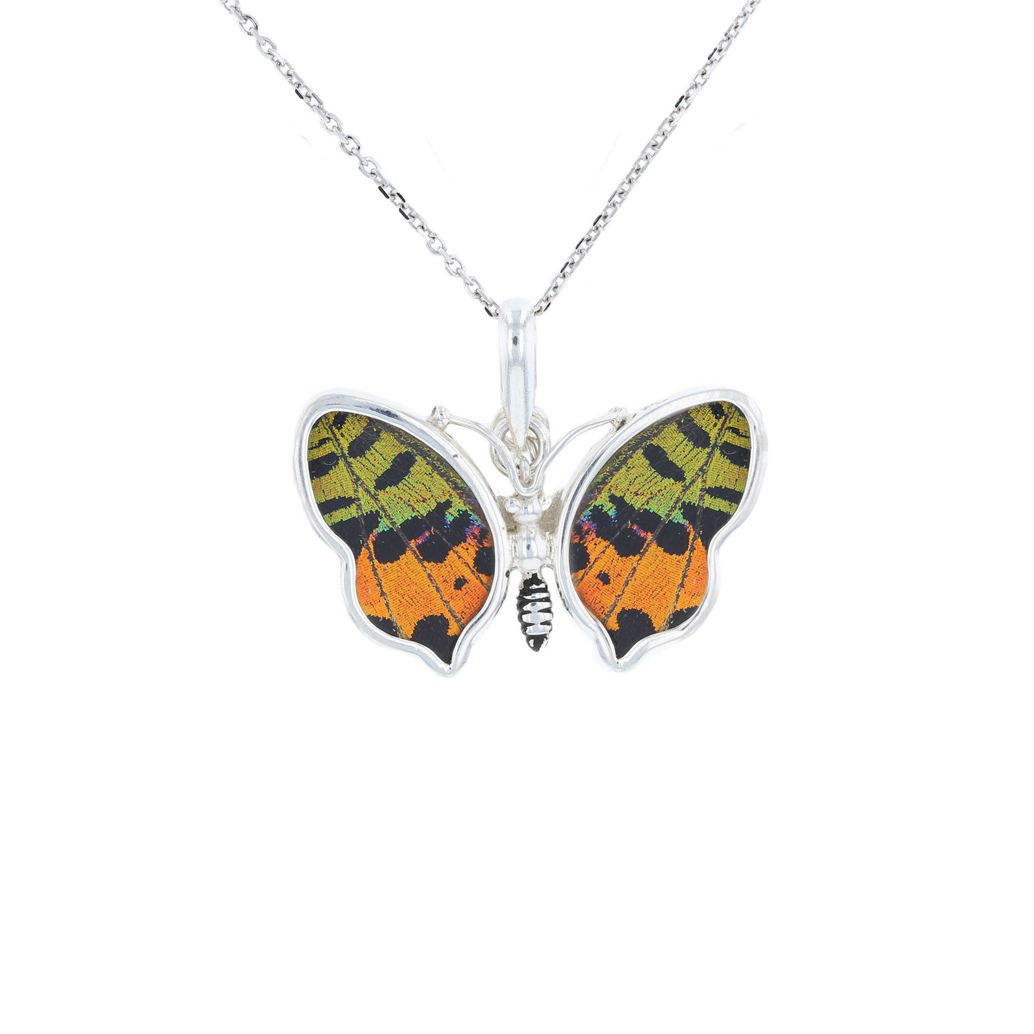 Butterfly Jewelry