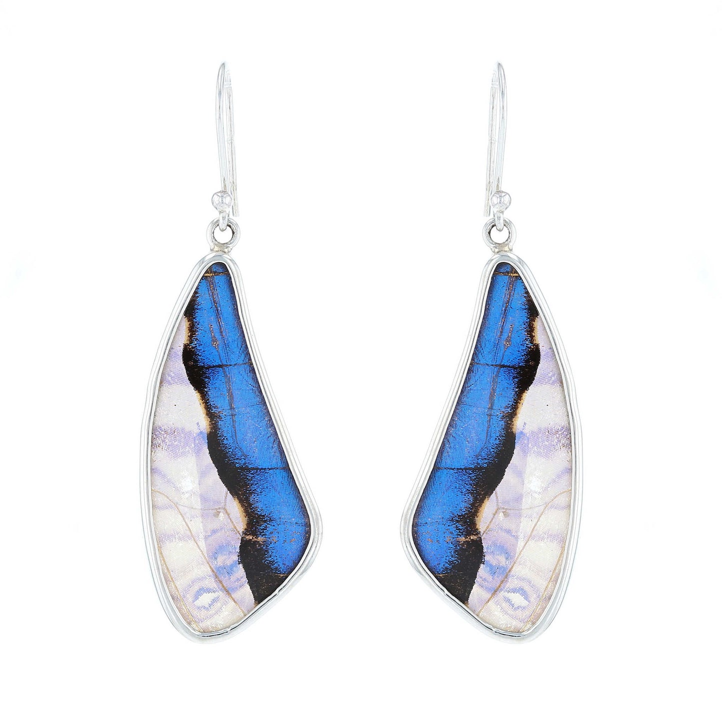 Blue Morpho Butterfly Wing Earrings | Sterling Silver
