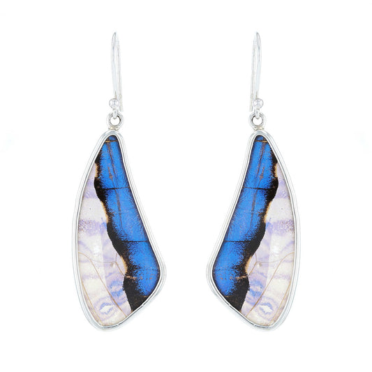 Blue Morpho Butterfly Wing Earrings | Sterling Silver