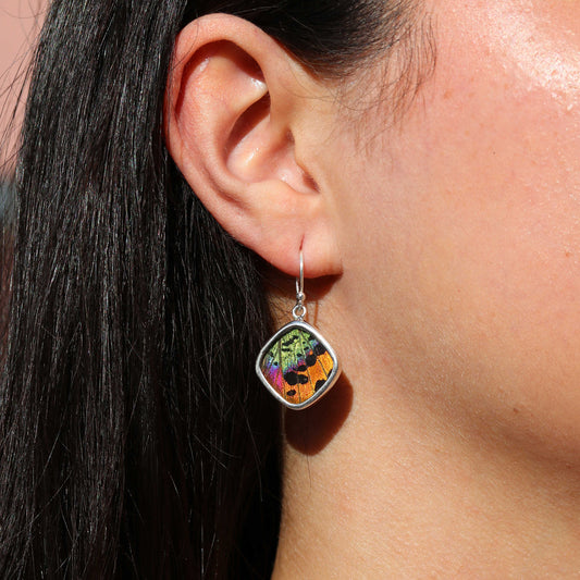 Sunset Moth Wing Cushion Earrings | Silver