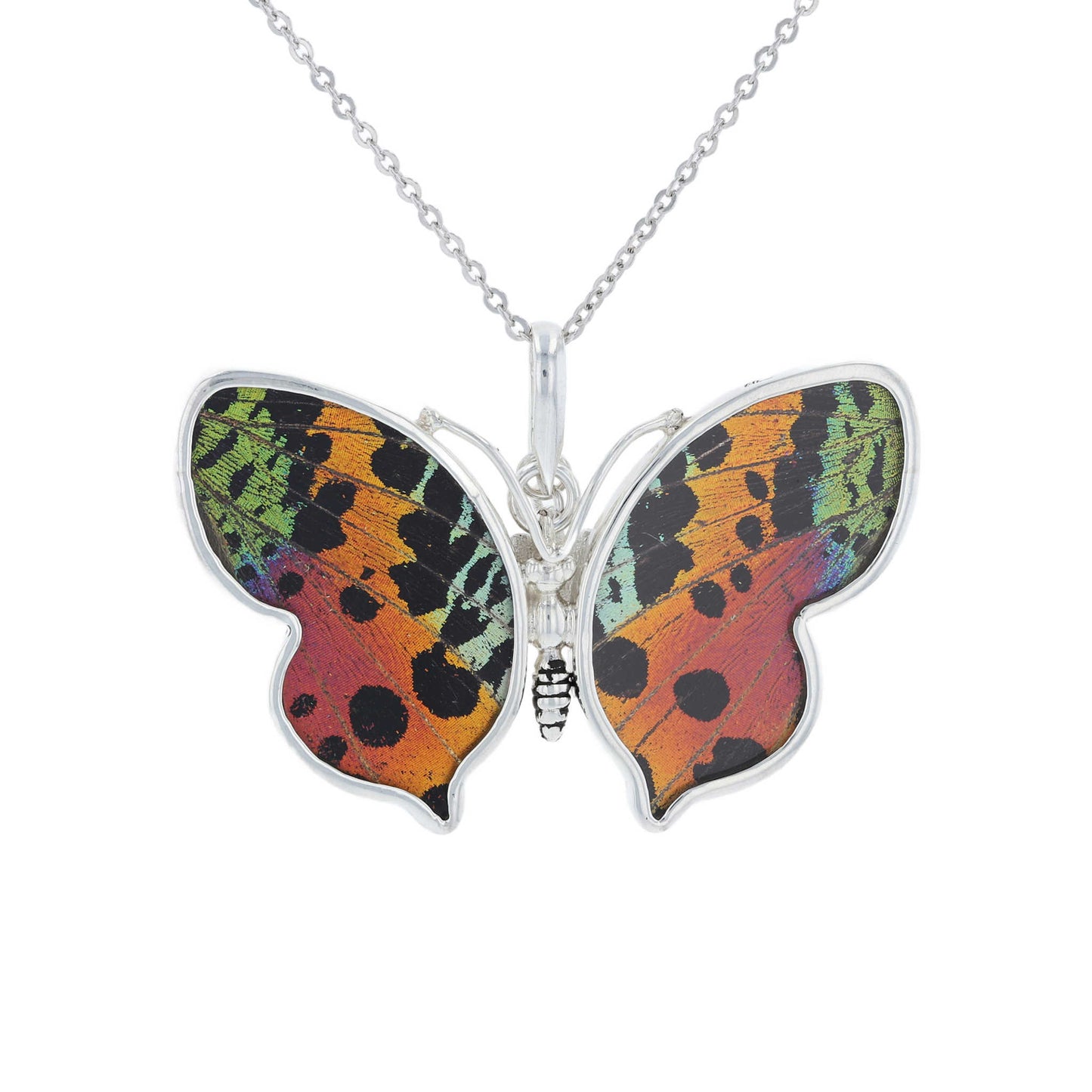 Medium Butterfly Wing Pendant | Sunset Moth